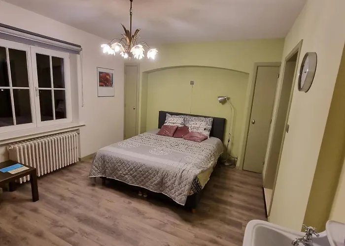 Fernadine 3* De Haan