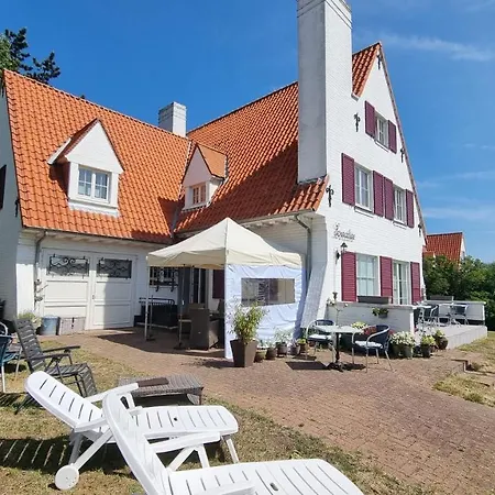 Fernadine 3*