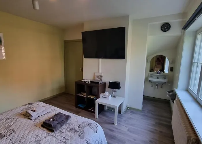 Fernadine 3* De Haan